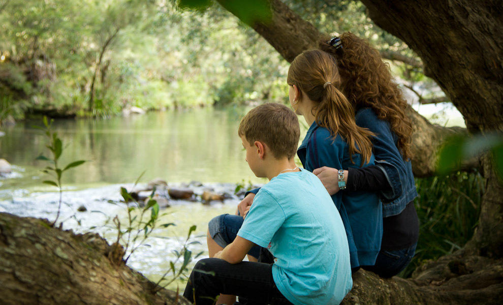 Monkerai Riverwood Downs Of Barrington Tops מראה חיצוני תמונה