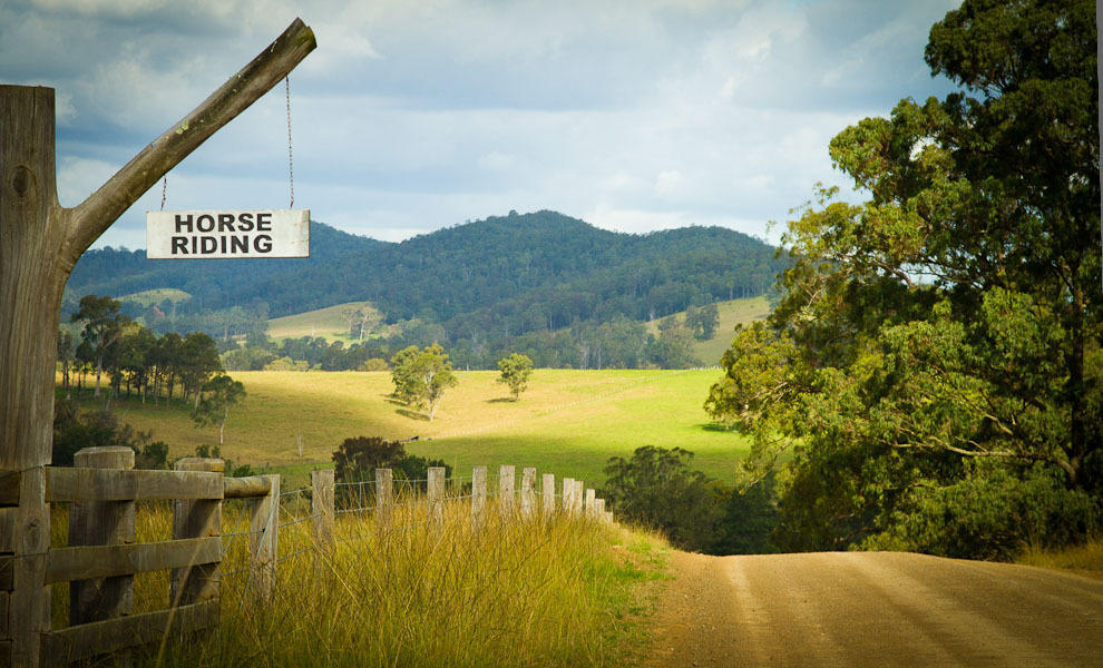 Monkerai Riverwood Downs Of Barrington Tops מראה חיצוני תמונה