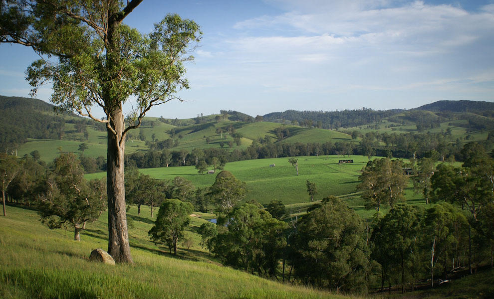 Monkerai Riverwood Downs Of Barrington Tops מראה חיצוני תמונה